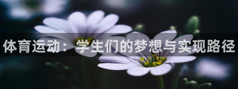 体育运动：学生们的梦想与实现路径