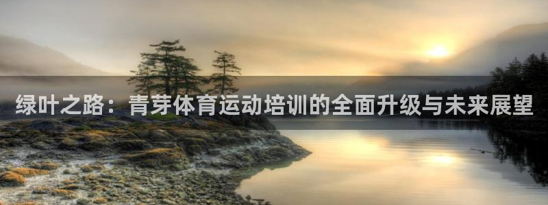 绿叶之路：青芽体育运动培训的全面升级与未来展望
