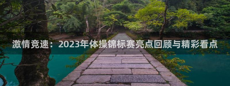 激情竞速：2023年体操锦标赛亮点回顾与精彩看点