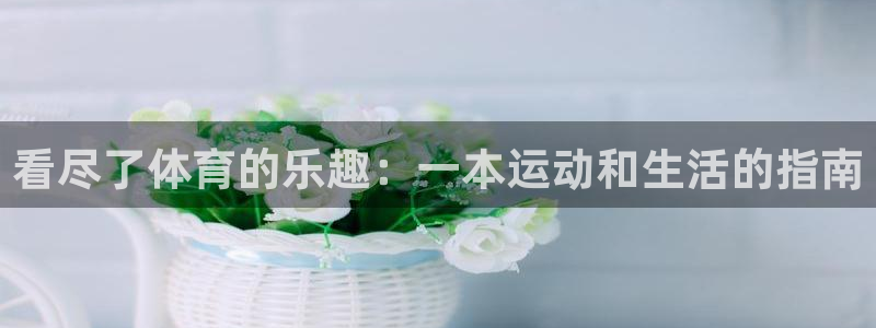 看尽了体育的乐趣：一本运动和生活的指南