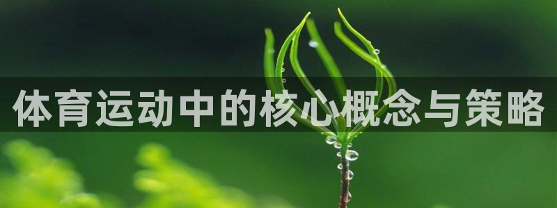 体育运动中的核心概念与策略